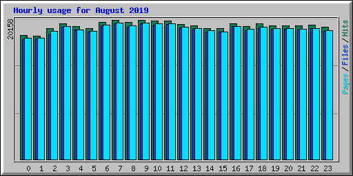 Hourly usage for August 2019