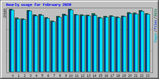 Hourly usage for February 2020