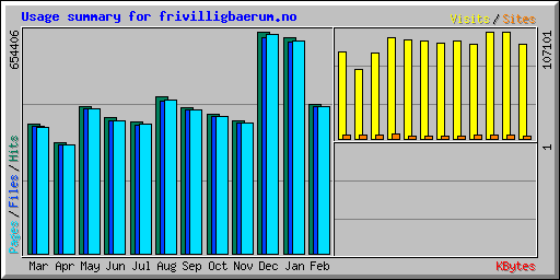 Usage summary for frivilligbaerum.no